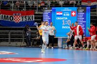 Hrvatska rukometna reprezentacija, prijateljska utakmica protiv Švicarske na Višnjiku