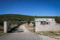 Mlada nada Stipe Šunić iz Rodaljice nedaleko od Benkovca živi za svoj agroturizam “Srce Bukovice”