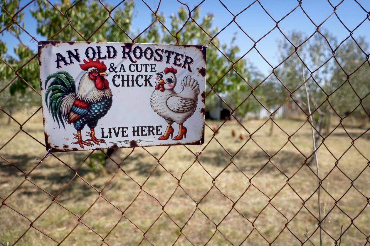 Mlada nada Stipe Šunić iz Rodaljice nedaleko od Benkovca živi za svoj agroturizam “Srce Bukovice”