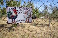 Mlada nada Stipe Šunić iz Rodaljice nedaleko od Benkovca živi za svoj agroturizam “Srce Bukovice”