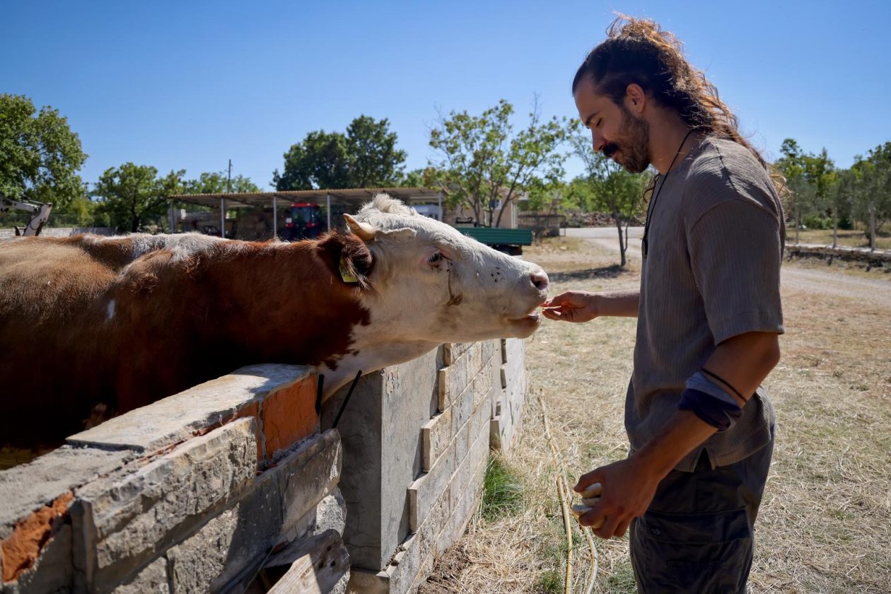 Mlada nada Stipe Šunić iz Rodaljice nedaleko od Benkovca živi za svoj agroturizam “Srce Bukovice”