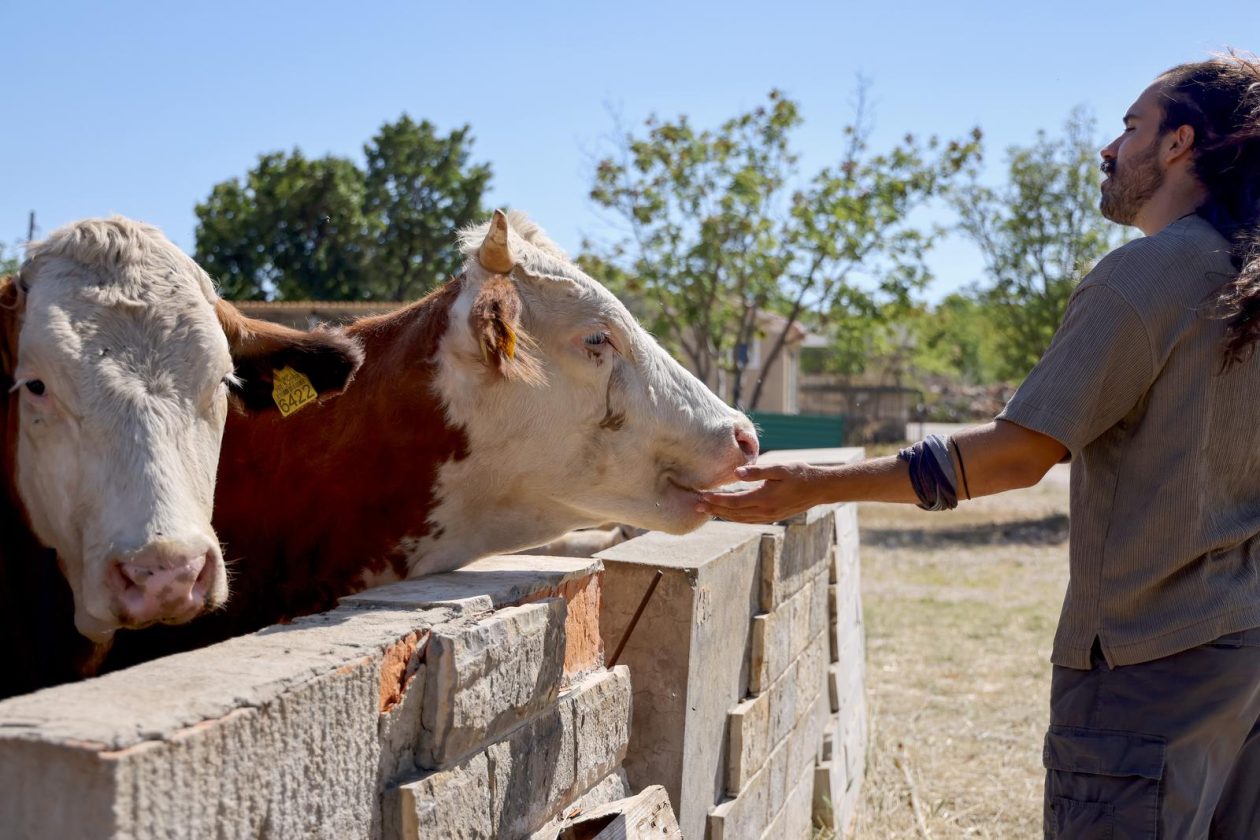 Mlada nada Stipe Šunić iz Rodaljice nedaleko od Benkovca živi za svoj agroturizam “Srce Bukovice”