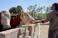 Mlada nada Stipe Šunić iz Rodaljice nedaleko od Benkovca živi za svoj agroturizam “Srce Bukovice”