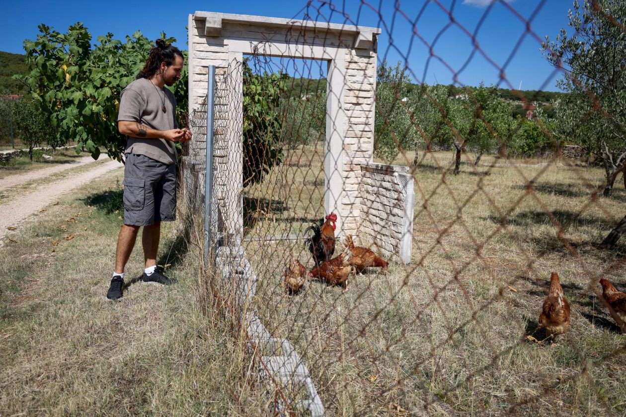 Mlada nada Stipe Šunić iz Rodaljice nedaleko od Benkovca živi za svoj agroturizam “Srce Bukovice”
