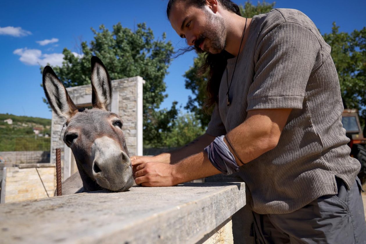 Mlada nada Stipe Šunić iz Rodaljice nedaleko od Benkovca živi za svoj agroturizam “Srce Bukovice”