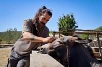 Mlada nada Stipe Šunić iz Rodaljice nedaleko od Benkovca živi za svoj agroturizam “Srce Bukovice”