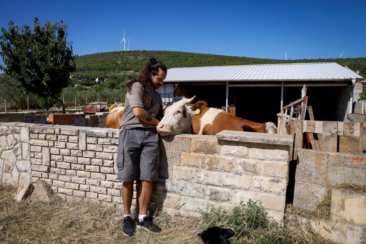 Mlada nada Stipe Šunić iz Rodaljice nedaleko od Benkovca živi za svoj agroturizam “Srce Bukovice”