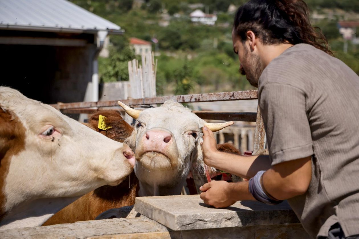 Mlada nada Stipe Šunić iz Rodaljice nedaleko od Benkovca živi za svoj agroturizam “Srce Bukovice”