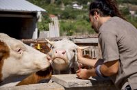 Mlada nada Stipe Šunić iz Rodaljice nedaleko od Benkovca živi za svoj agroturizam “Srce Bukovice”