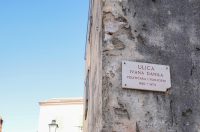 Hrvatska vaterpolo reprezentacija snimila kalendar u Sv. Filip i Jakovu