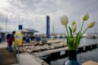 Biograd Boat Show 2025. Biograd Boat Show 2025.