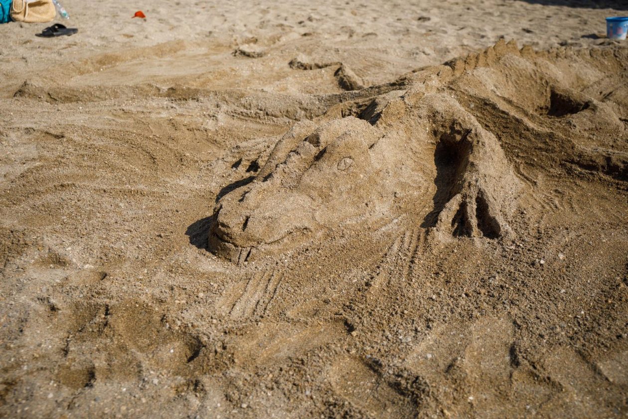 11. Festival pijeska na Kraljičinoj plaži u Ninu 11. Festival pijeska na Kraljičinoj plaži u Ninu