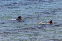 Zadar: Sve je više kupača na zadarskim plažama
