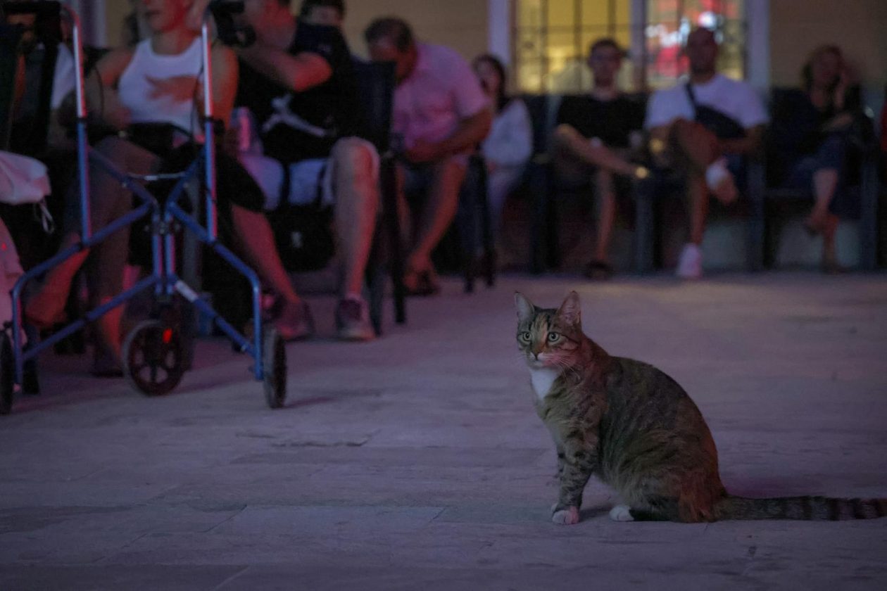 Otvoreno  treće izdanje festivala “Hitchcock nights”