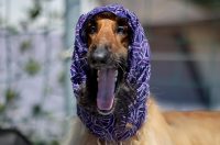 PIXSELL TOP 100 – 2025