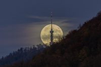 PIXSELL TOP 100 – 2025