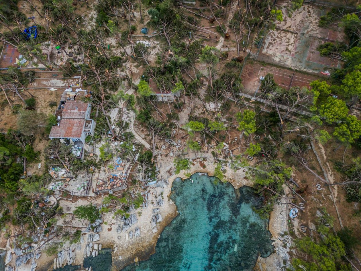 PIXSELL TOP 100 – 2025