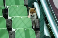 PIXSELL TOP 100 – 2025