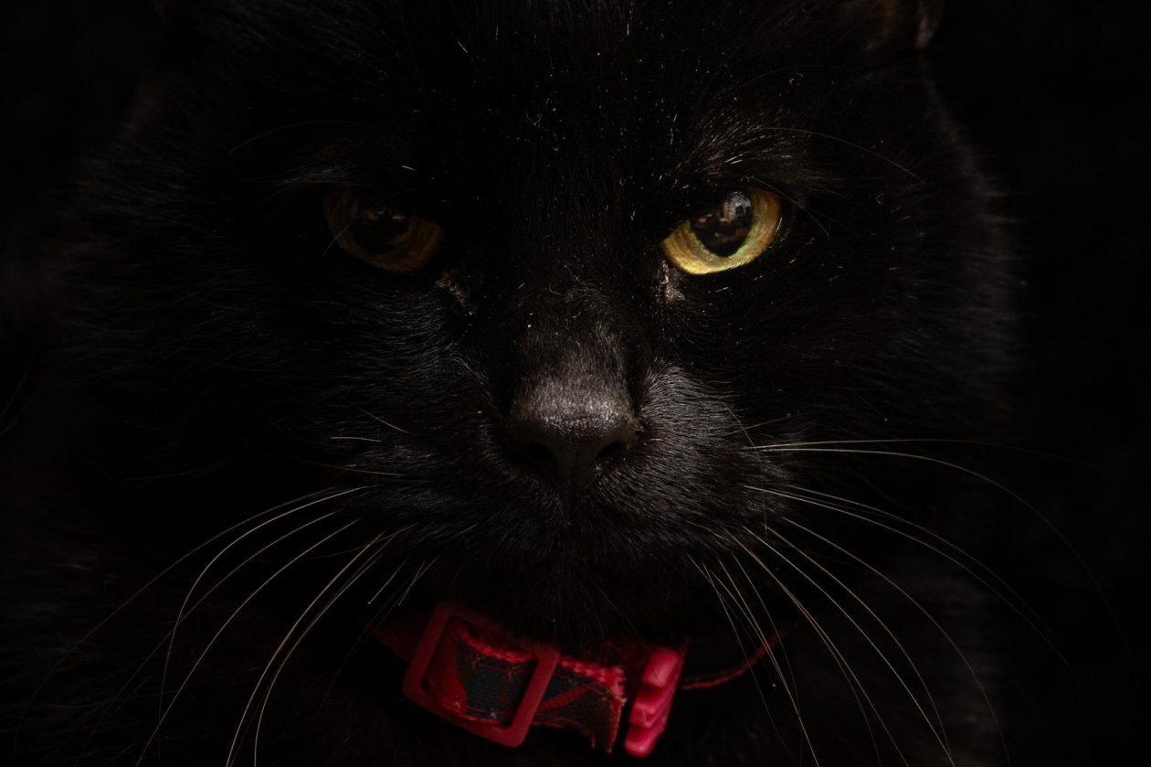 PIXSELL TOP 100 – 2025