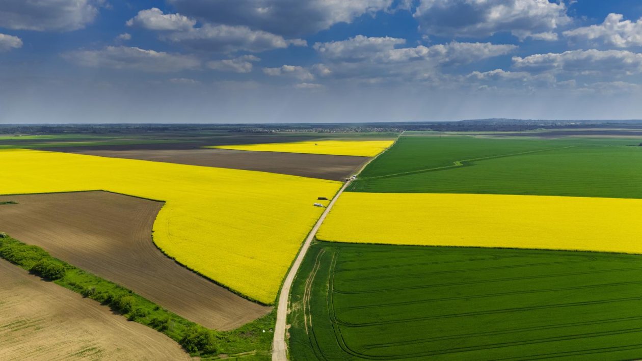 PIXSELL TOP 100 – 2025