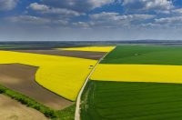 PIXSELL TOP 100 – 2025