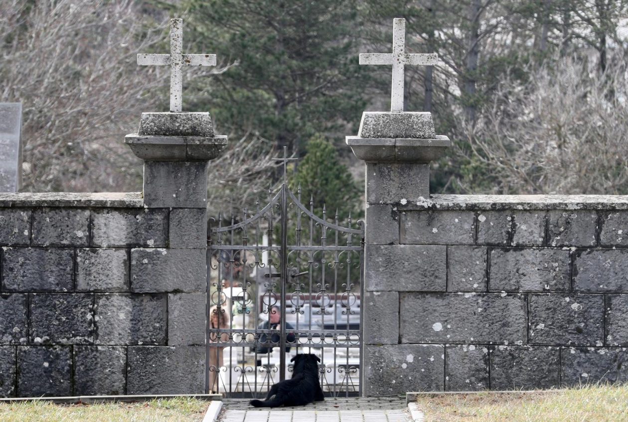 PIXSELL TOP 100 – 2025