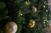 [FOTO] Zadarski nadbiskup Milan Zgrablić predvodio je svečano Božićno misno slavlje