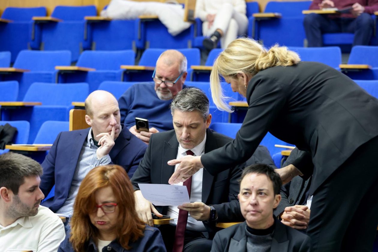 mirjana zubčić gaši sdp