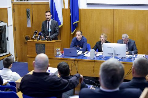 9. Sjednica Gradskog vijeća erlić