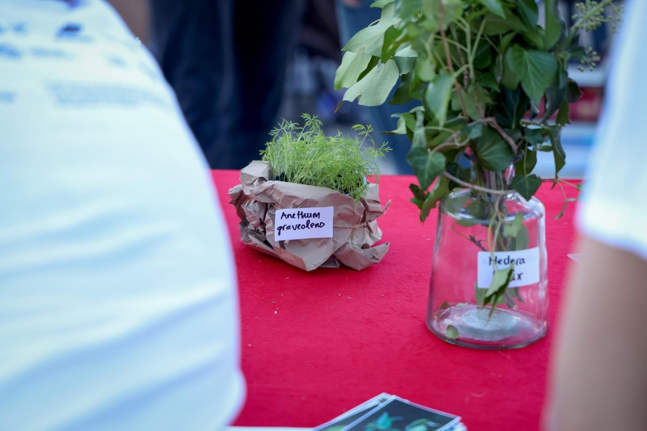 Novi kampus: Europska noć istraživača 2025. Novi kampus: Europska noć istraživača 2025.