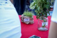 Novi kampus: Europska noć istraživača 2025. Novi kampus: Europska noć istraživača 2025.