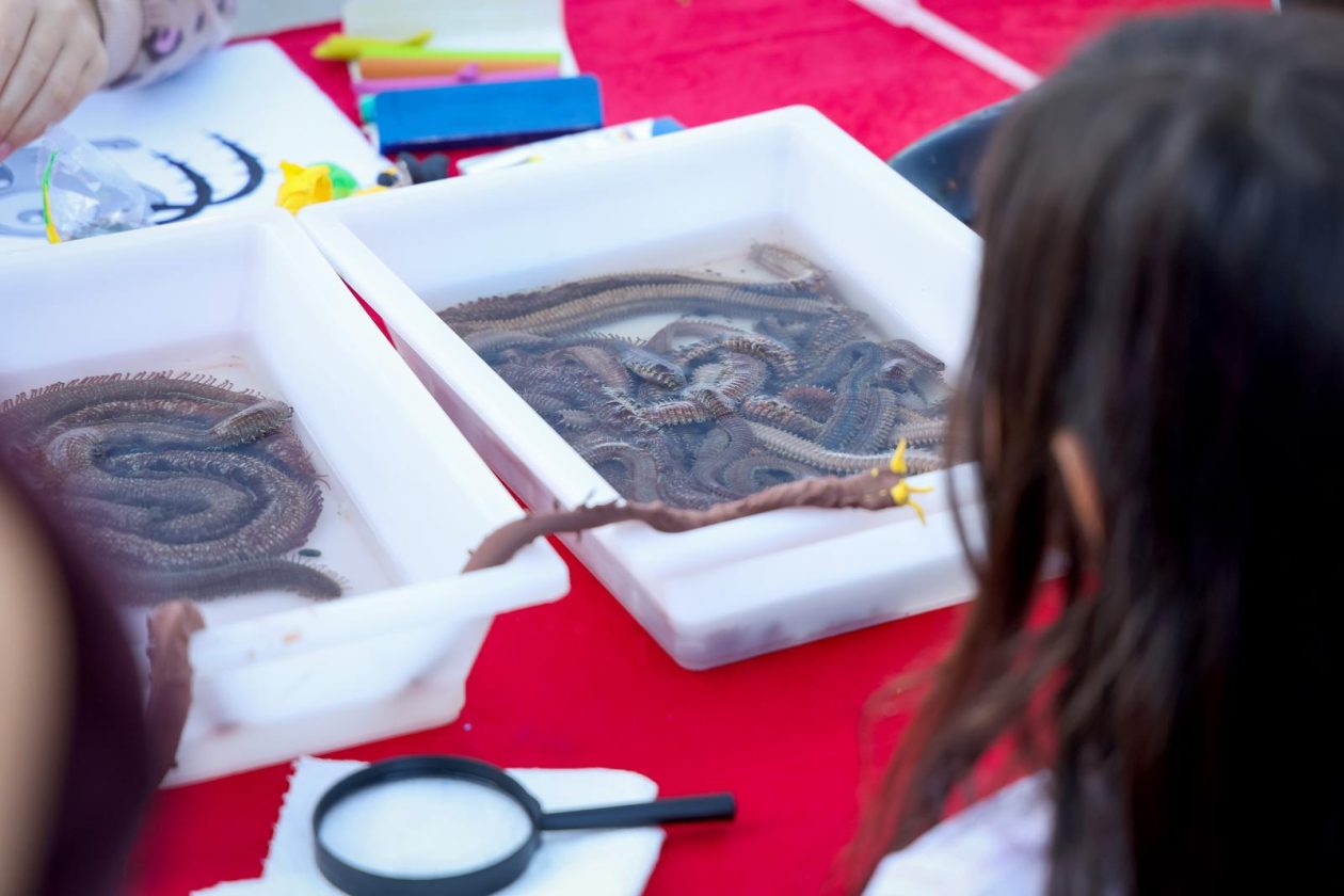 Novi kampus: Europska noć istraživača 2025. Novi kampus: Europska noć istraživača 2025.