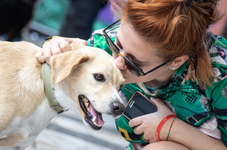 26. kolovoza obilježava se Međunarodni dan pasa