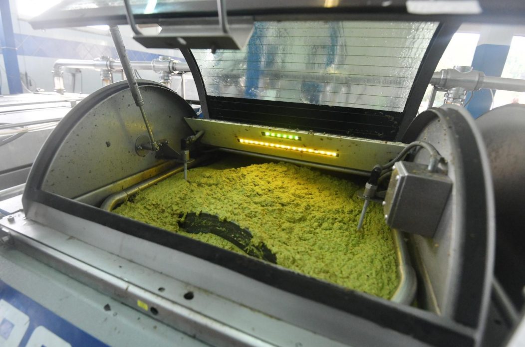 Skradin: Prerada maslina u skradinskom zale?u u punom je jeku