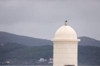 Zadar: Kiša i jugo u gradu