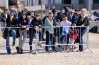 Nagrada Grada Zadra @ ŠC Višnjik