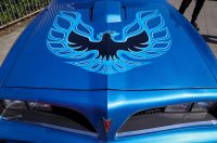 Nagrada Grada Zadra @ ŠC Višnjik