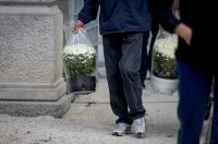 Zadar: Građani uređuju grobove uoči blagdana Svih svetih i Dušnog dana