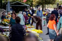 Zadar: Građani uređuju grobove uoči blagdana Svih svetih i Dušnog dana