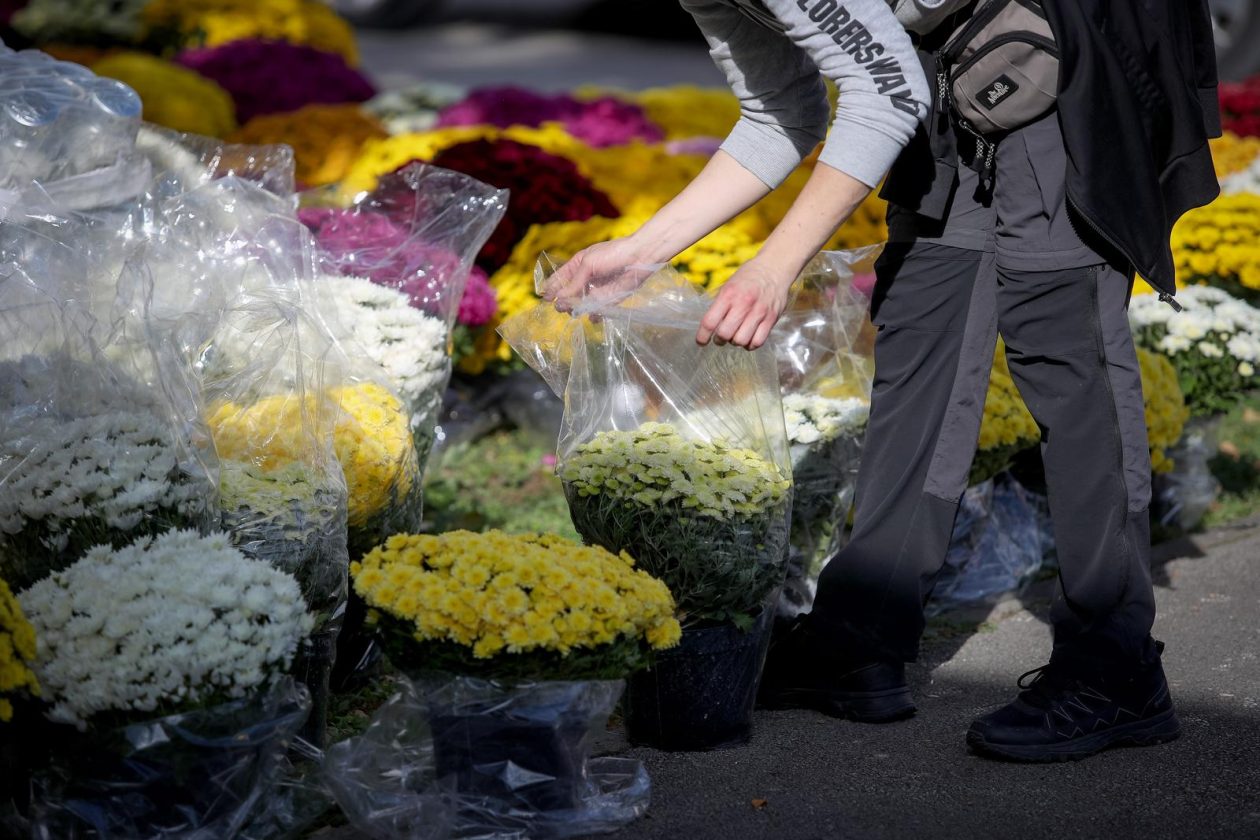 Zadar: Građani uređuju grobove uoči blagdana Svih svetih i Dušnog dana