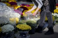 Zadar: Građani uređuju grobove uoči blagdana Svih svetih i Dušnog dana