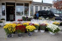 Zadar: Građani uređuju grobove uoči blagdana Svih svetih i Dušnog dana