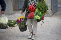 Zadar: Građani uređuju grobove uoči blagdana Svih svetih i Dušnog dana