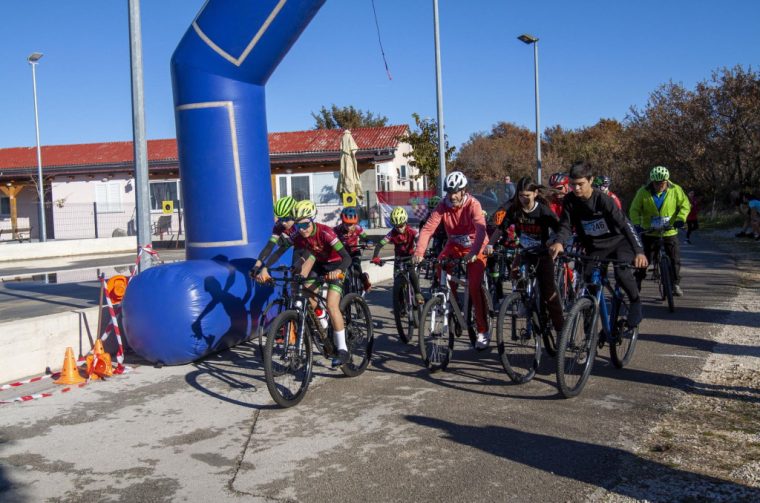 Poličnik biciklizam