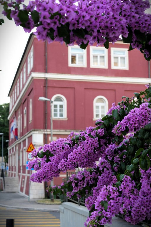 Predvečernji đir 26. lipnja 2025 (14)
