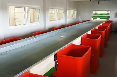 BIOGRAD, 4.12.23024. Industrijska zona, moderna sortirnica…  Nema èega nema