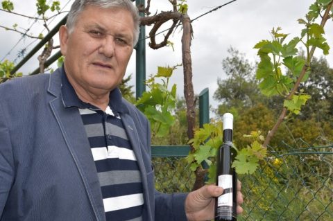 23.04.2019. VUCEMILOVIC 2504