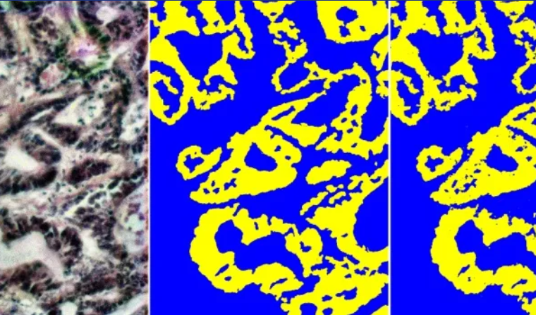 Snimka zaslona 2025-09-03 183136