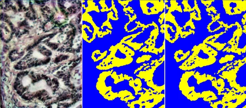 Snimka zaslona 2025-09-03 183136 Snimka zaslona 2025-09-03 183136