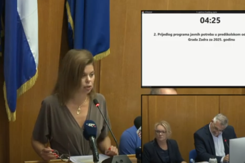 ivana gugl gradsko vijeće